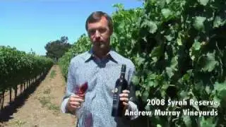 2008 Syrah Reserve - Andrew Murray Vineyards