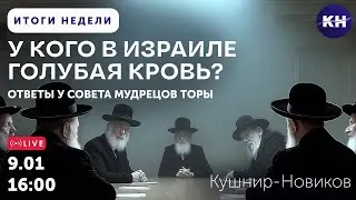 У КОГО В ИЗРАИЛЕ ГОЛУБАЯ КРОВЬ? ОТВЕТЫ У СОВЕТА МУДРЕЦОВ ТОРЫ