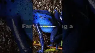 Meet the Mutant Blue Frog! 🐸💙