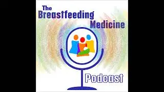 Toxic Shock Syndrome from Mastitis, a Review of Abstracts Regarding Oxytocin, Pacifier Use, Safet...