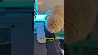🍃 Viendo El Oxigeno de la Fotos&iacute;ntesis Bajo El Microscopio 🔬