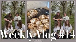 🎬 Weekly Vlog #14 | Disney Cinnamon Rolls, Apple Today Cinematic Course, Fourth Wing Picnic 🍎✨📚