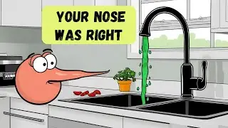 Why Your Tap Water Smells Like Rotten Eggs (and How to Fix It!)