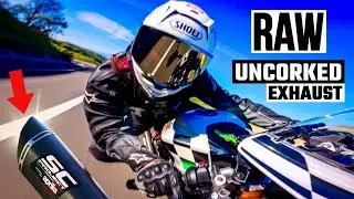 Aprilia RS 660 - Extrema | RAW Sound | DB Killer Removed