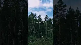 Respect🌲✅️ #shorts #training #nature #forest #transformation #workout #song
