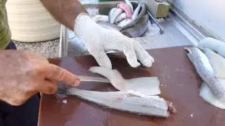 How to fillet whiting by Philip Builder