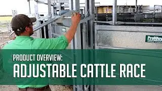 ProWay Adjustable Cattle Race