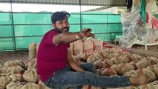 फाइनली भैया लोग हमारे गाड़ी में प्याज लोड हो गया है बांग्लादेश का 🚛🚛🚛🛣️🛣️🛣️🙏