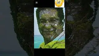 #shortvideos#viralvideo #illustrationvideo
