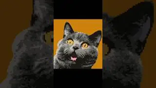CUTE CAT PIXELART #catvideos #shorts #cat