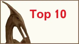 Pterodactyl Sightings - Top 10 Videos