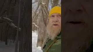 Airborne Infantry Vet Spends all his Time with Dogs #shorts