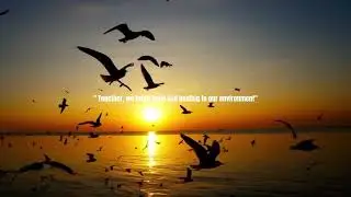 &ldquo;THE IMPORTANCE OF BIODIVERSITY CONSERVATION IN THE PHILIPPINES &rdquo;