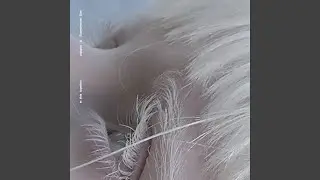 Text Me When You Wake Up