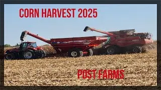 2025 Corn Harvest in WC IL