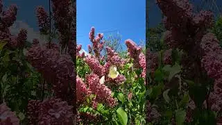 Крым в объективе~Crimea in the lens E24