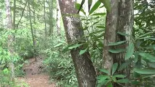 John Litton Farm Loop