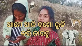 ସାଙ୍ଗ ମାନେ ଆସନ୍ତୁ ବଣୋଭୁଜି କରିଜିବା#prita #new # blog #🦣🦣🐒🐒🎄🎄🎄🎄🦜🦜🐅🐅🐅