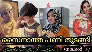 സൈനാത്ത പണി തുടങ്ങി നൂറക്കും അമലിനും ഇനി ഈ സ്നേഹം നഷ്ടമാവുമോ?#jaibusworld #skit #amal 14#homecinema