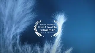 OFFICIAL SELECTION: People & Nature | Trees & Seas Film Festival 2025