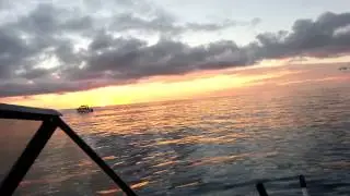 3 mile reef Mindarie