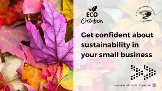 Uttlesford Business: Eco-October &ndash; Get confident about sustainability in your small business