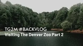 TG2M S4E7 Part 2 &ldquo;Visiting The Denver Zoo&rdquo; #backvlog