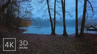 Relaxing Walk in the Rain ☔ With Rain, Umbrella & City Sounds | 4k & 3D Binaural Sound - ASMR