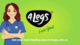 4 Steps to a healthy dog. Get your feeding plan at 4legs.com.au