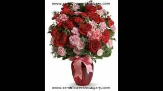 Send flowers from Ecuador to Calgary Alberta Canada