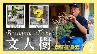 少即是多！聊聊＆製作文人樹！Making a Bunjin Tree. ｜台灣銘園庭園美術館
