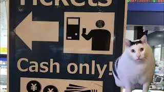 Cash Only country Japan