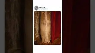 Cat and Curtain Merged Together Create This! Funny Cute Cat Twitter Tweet #shorts
