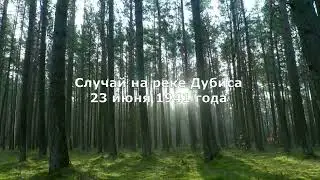 Случай на реке Дубиса