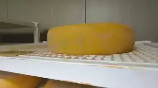Stagionatura della Formaggella del Luinese di Capra Mattia Crivelli e Anna Il Vallone @ilmangiaweb 