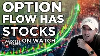 Option Flow Has These Major Stock Names On Watch!