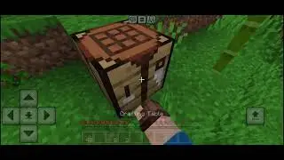 Survival in minecraft pt.1