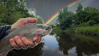 Relaxing Southern Minnesota Trout Fishing on a Rainy Day
