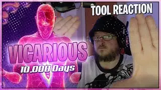 Tool Vicarious Reaction | One of the best metal guitar riff's ever?