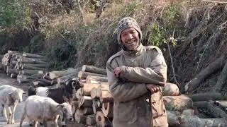 जोशीमठ से आये पशुपालको से एक मुलाक़ात || पहाड़ी हीरोज 