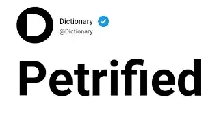 Petrified Meaning In English