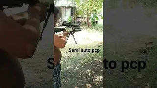 semi auto pcp
