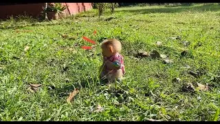Pitifull !! Jasmine Tiny Sot Sadd On Grass After Wake Up Without Mom