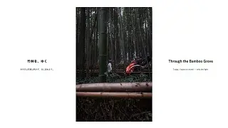 What I saw that day #53 竹林を、ゆく｜Through the Bamboo Grove