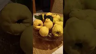 Dunja #mirisdunja #ormar #dunja #youtubeshorts #viralvideo #motivation #trending #edit #food #like