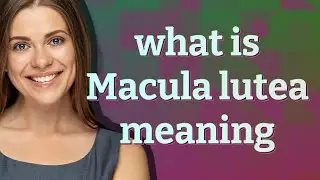 Macula lutea | meaning of Macula lutea