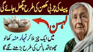 Quotes About life | Rumi Quotes | Motivational Islamic Quotes | Best Urdu Quotes | Hazrat Ali Quotes