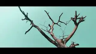Raafky - Khobor Nai (Official Teaser) | Chattogram Shohor