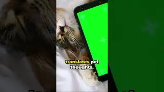 🧠Mind Bending Funny Stories😂(Ep27) #funnyshorts #comedyvideo #funnystories