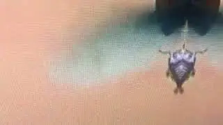 A Bug&rsquo;s Life - Bird Attack in Low Voice